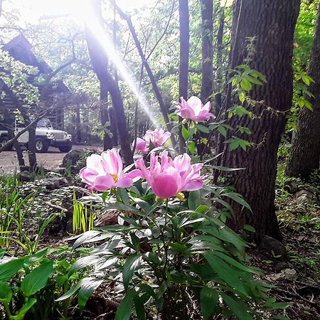 Cherokee Mountain Log Cabins Eureka Springs Esterno foto