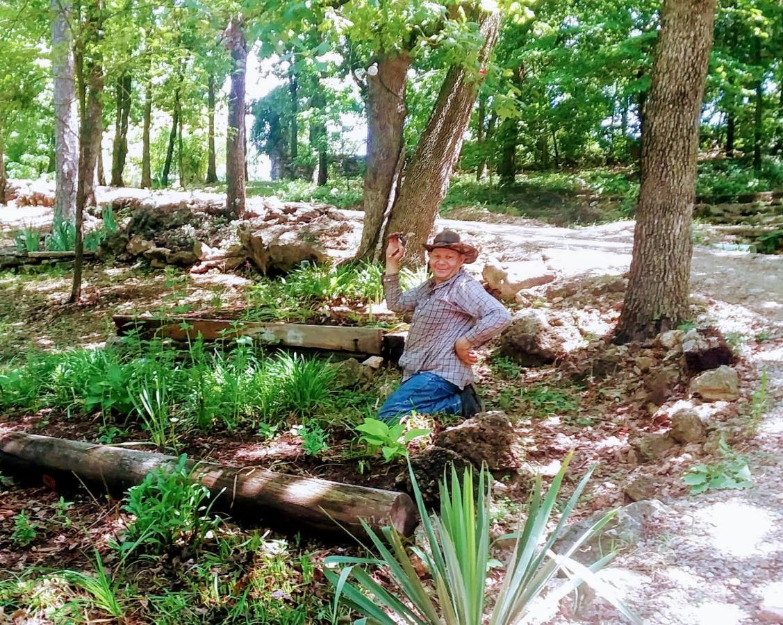 Cherokee Mountain Log Cabins Eureka Springs Esterno foto