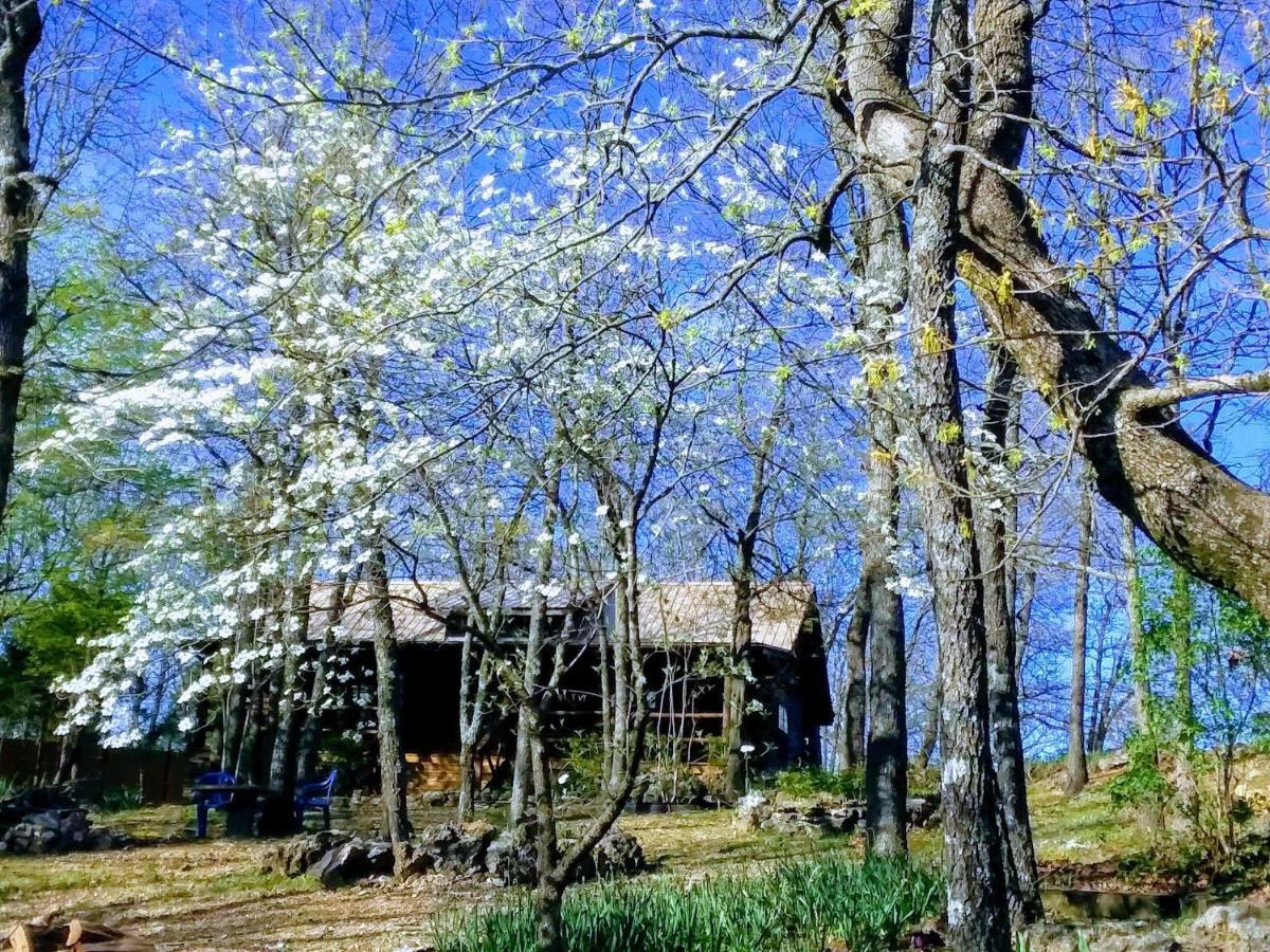 Cherokee Mountain Log Cabins Eureka Springs Esterno foto