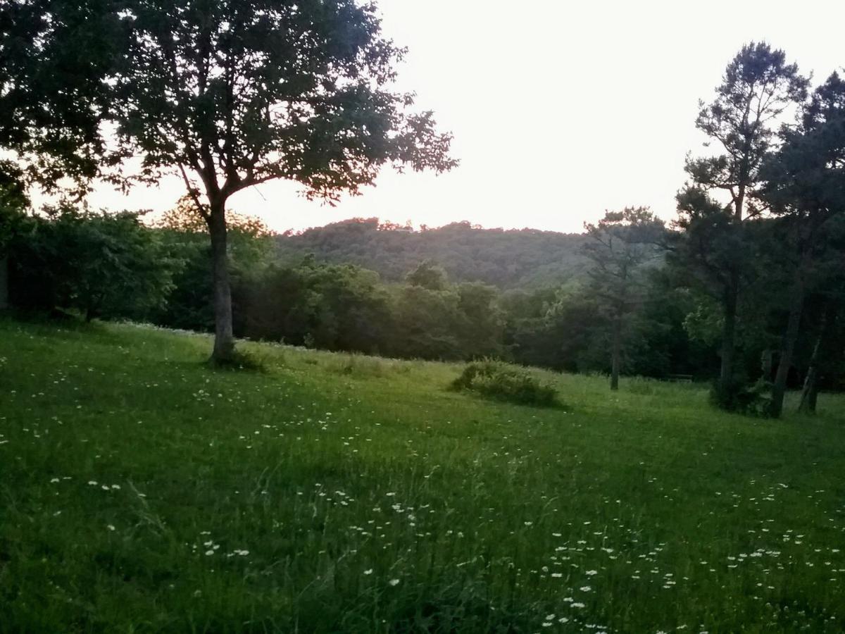 Cherokee Mountain Log Cabins Eureka Springs Esterno foto